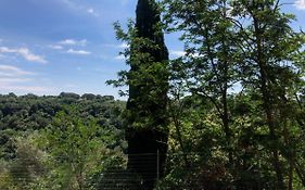 La Casa All'Oliveto